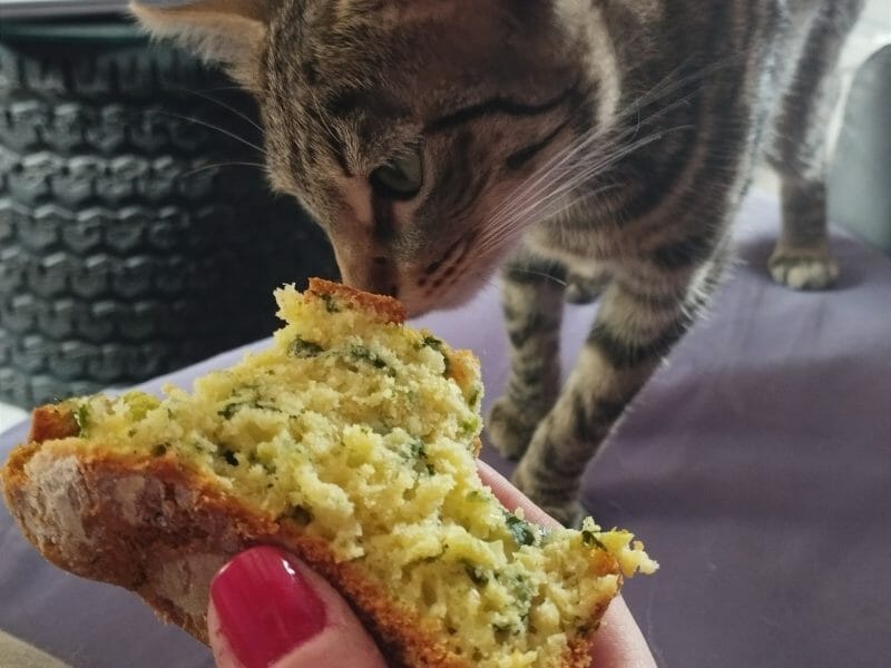 Cliquez pour zoomer ! Cake aux épinards, mozzarella et pesto Thermomix par jennyfer_84360