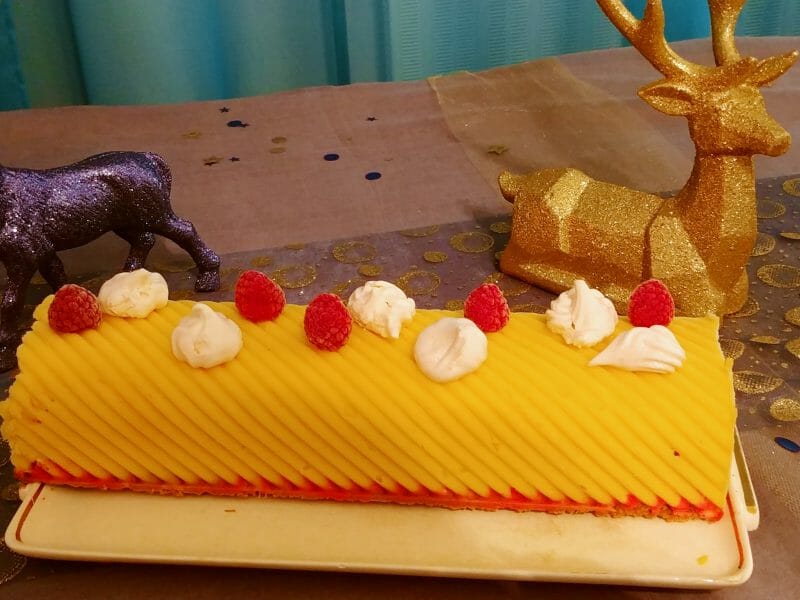 Cliquez pour zoomer ! Bûche glacée mangue et framboise Thermomix par cary68