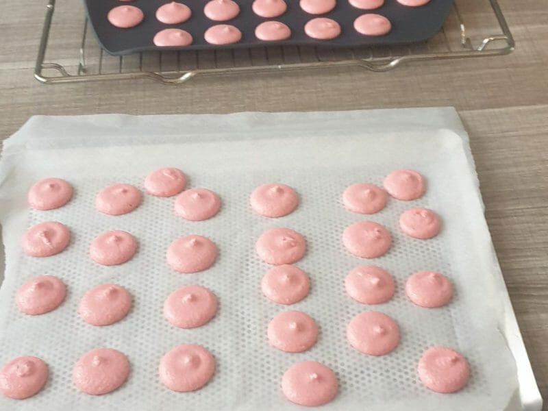 Cliquez pour zoomer ! Macarons Thermomix par titicha12