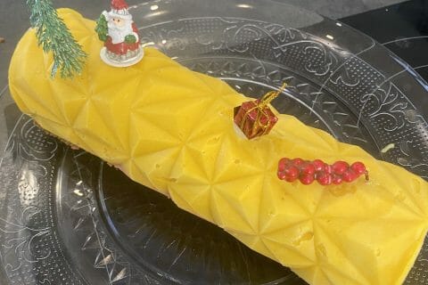 Cliquez pour zoomer ! Bûche glacée mangue et framboise Thermomix par sylviapeixoto