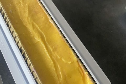 Cliquez pour zoomer ! Bûche glacée mangue et framboise Thermomix par sylviapeixoto