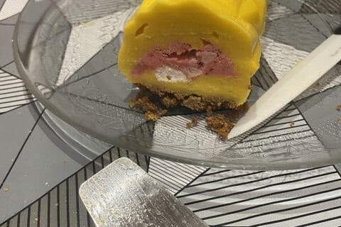 Cliquez pour zoomer ! Bûche glacée mangue et framboise Thermomix par sylviapeixoto