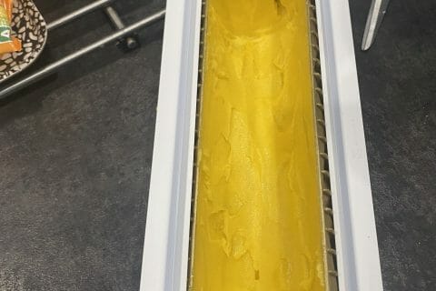 Cliquez pour zoomer ! Bûche glacée mangue et framboise Thermomix par sylviapeixoto