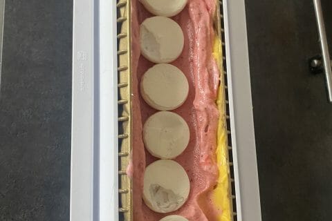 Cliquez pour zoomer ! Bûche glacée mangue et framboise Thermomix par sylviapeixoto