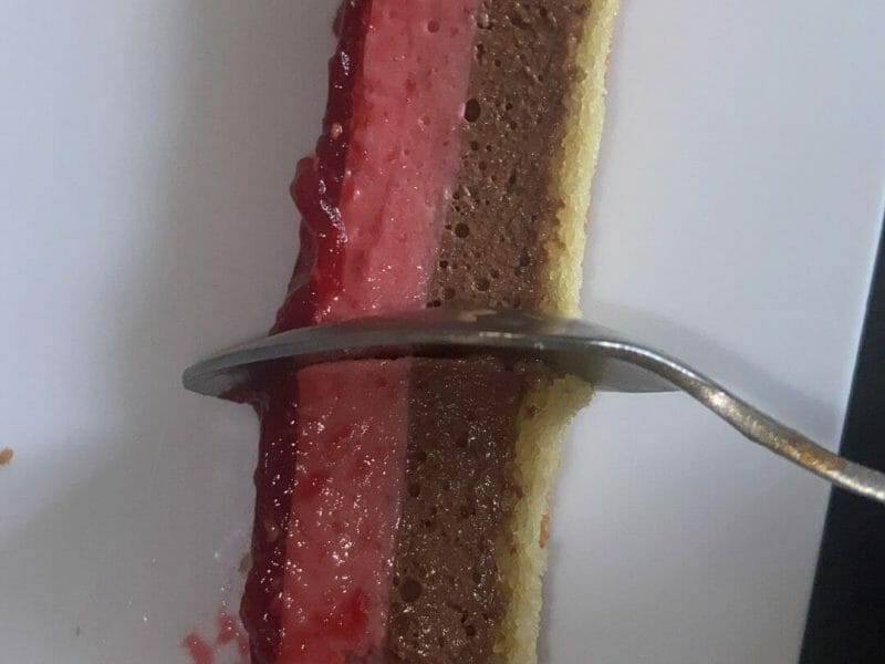 Cliquez pour zoomer ! Bavarois aux framboises Thermomix par safyanes3