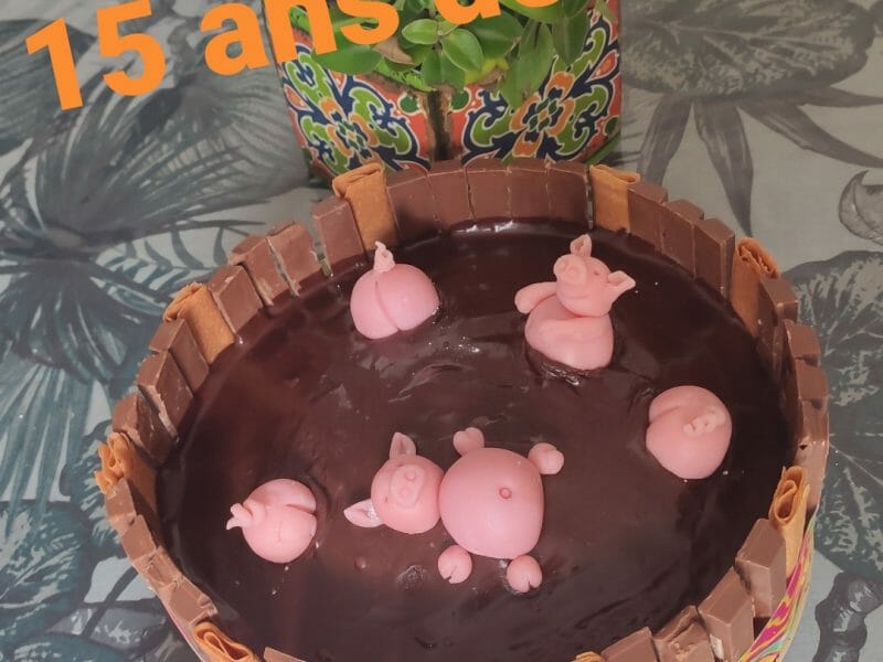 Cliquez pour zoomer ! La mare aux cochons Thermomix par Octopus73