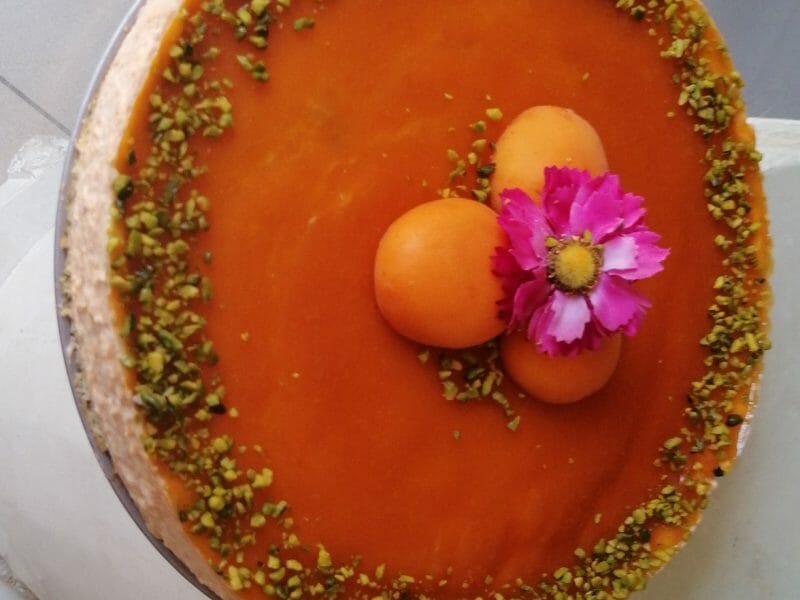 Cliquez pour zoomer ! Bavarois à l’abricot Thermomix par melmathys