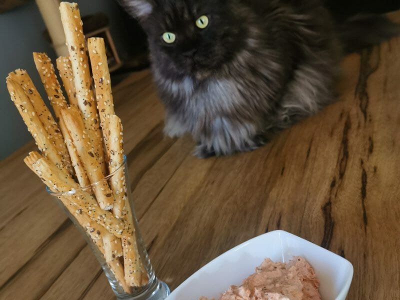 Cliquez pour zoomer ! Tartinade feta et tomates séchées Thermomix par melmathys