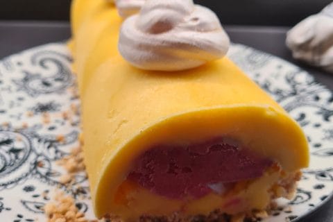 Cliquez pour zoomer ! Bûche glacée mangue et framboise Thermomix par alexpot
