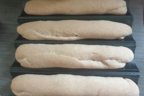 Cliquez pour zoomer ! Baguettes Thermomix par mimine28