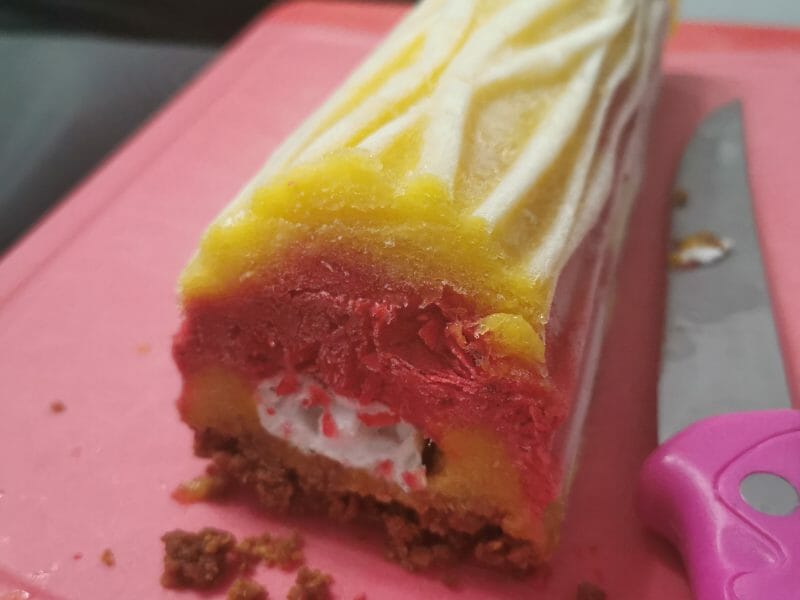Cliquez pour zoomer ! Bûche glacée mangue et framboise Thermomix par bene5371