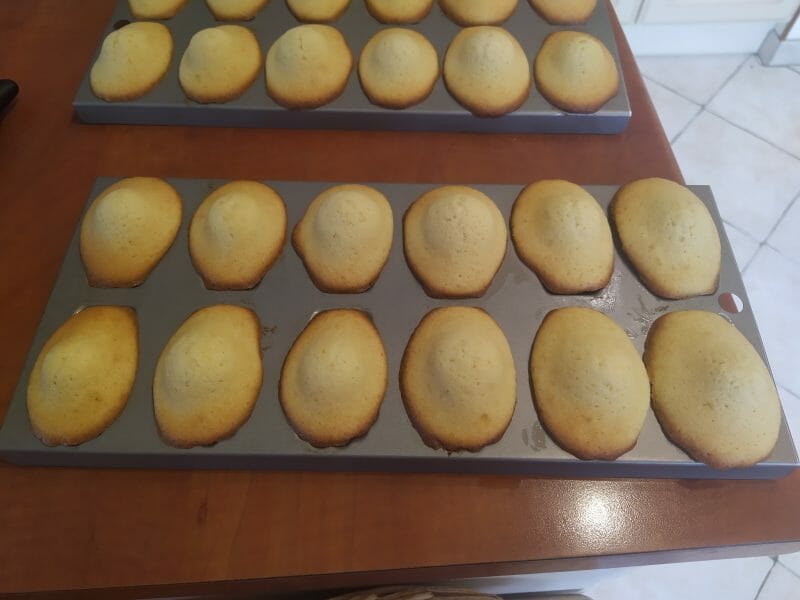 Cliquez pour zoomer ! Madeleines Thermomix par ludivine_118