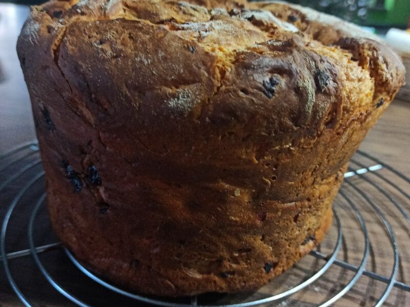 Cliquez pour zoomer ! Panettone Thermomix par estellevetter68