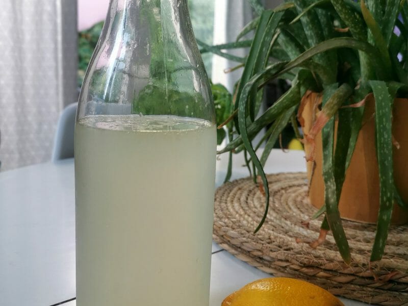 Cliquez pour zoomer ! Citronnade Thermomix par emi_eml