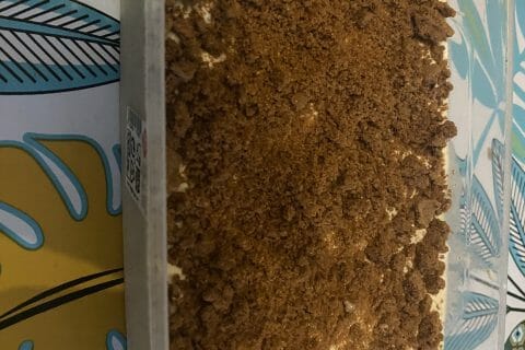 Cliquez pour zoomer ! Glace aux Speculoos Thermomix par Malika 33160