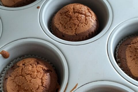 Cliquez pour zoomer ! Photo de cathy19