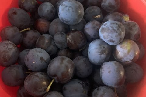 Cliquez pour zoomer ! Confiture de prunes Thermomix par doucerouxhet