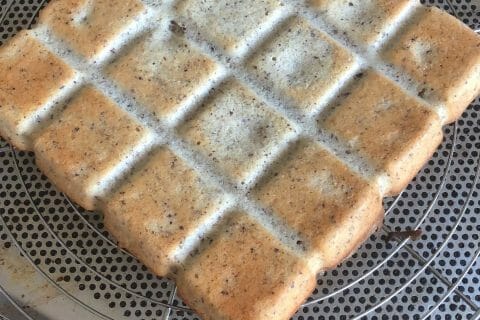 Cliquez pour zoomer ! Photo de houdarom