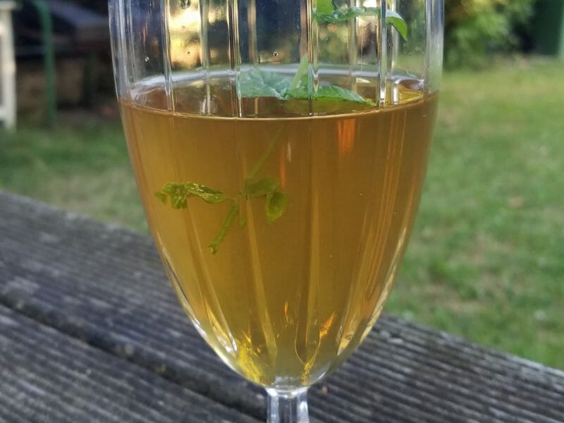 Cliquez pour zoomer ! Sirop de menthe Thermomix par Elleisab