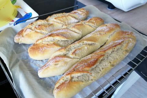 Cliquez pour zoomer ! IMG_20201128_104948