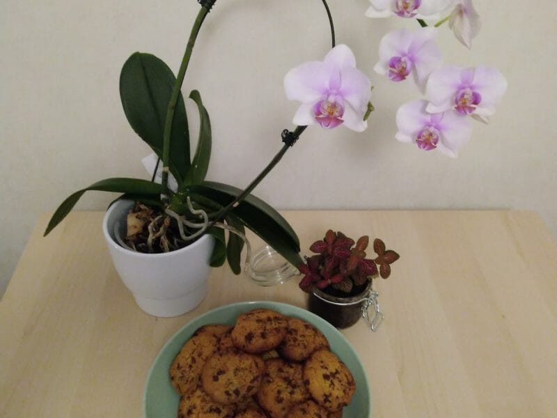 Cliquez pour zoomer ! Cookies américains Thermomix par sol_enn