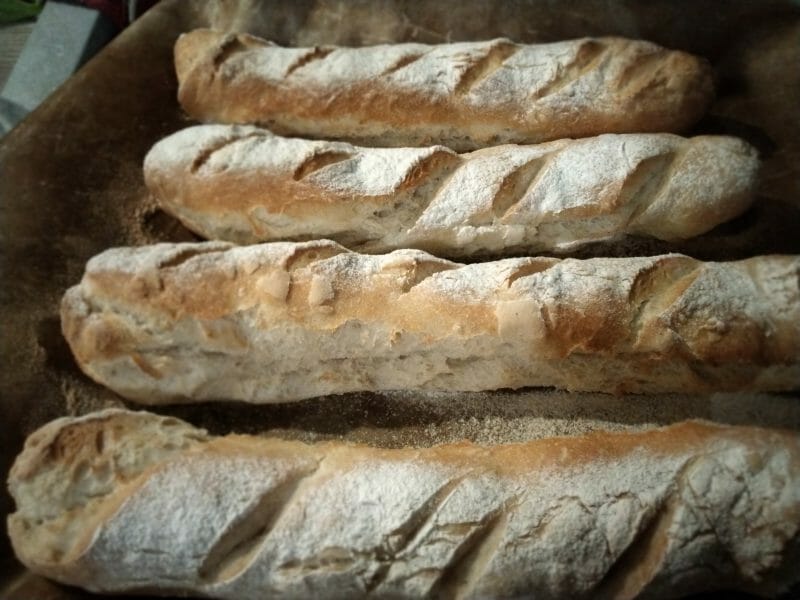 Cliquez pour zoomer ! Baguettes Thermomix par yuufemi