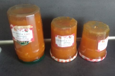 Cliquez pour zoomer ! Confiture d’abricots au Thermomix