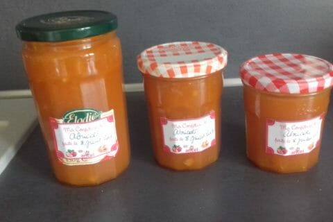 Cliquez pour zoomer ! Confiture d’abricots au Thermomix
