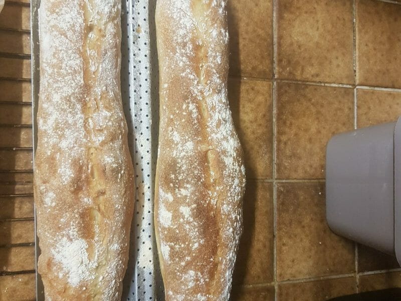 Cliquez pour zoomer ! Baguettes Thermomix par debmeleo