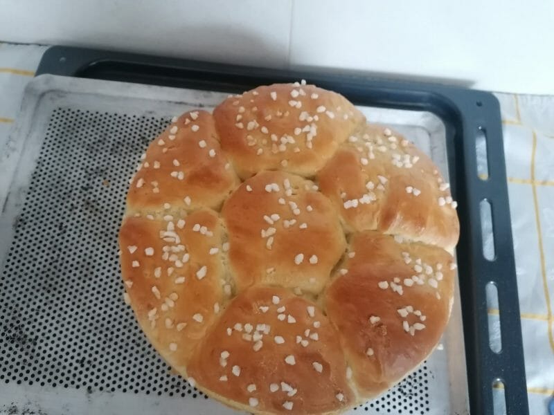 Cliquez pour zoomer ! Brioche Buchty Thermomix par Cardoso