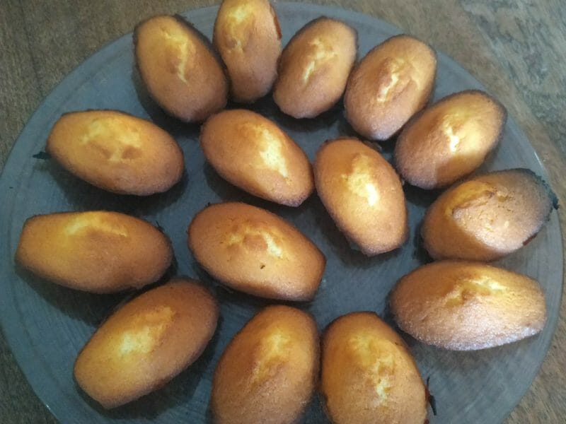 Cliquez pour zoomer ! Madeleines Thermomix par maryam34820