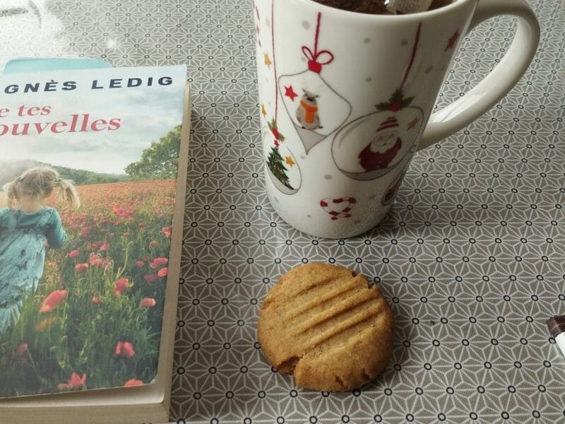 Cliquez pour zoomer ! Biscuits au gingembre Thermomix par Jumalie