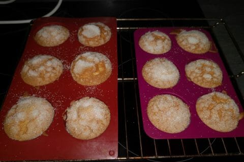 Photos des recettes