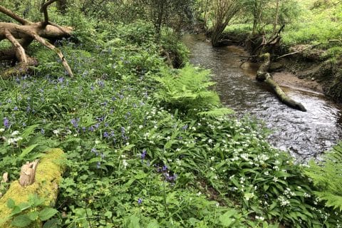 Cliquez pour zoomer ! Photo de Laurence44880