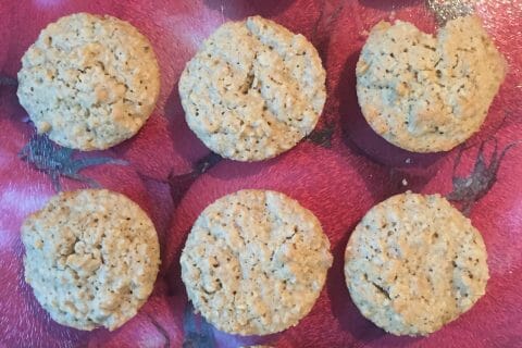 Cliquez pour zoomer ! Havreflarn (galettes de flocons d’avoine) Thermomix par mademoiselle09