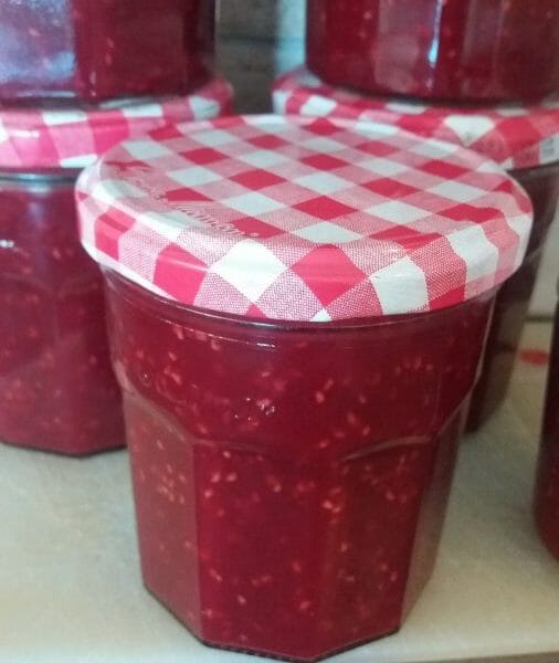 Confiture de framboises au Thermomix - Cookomix