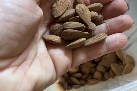 Cliquez pour zoomer ! Photo de delfinete