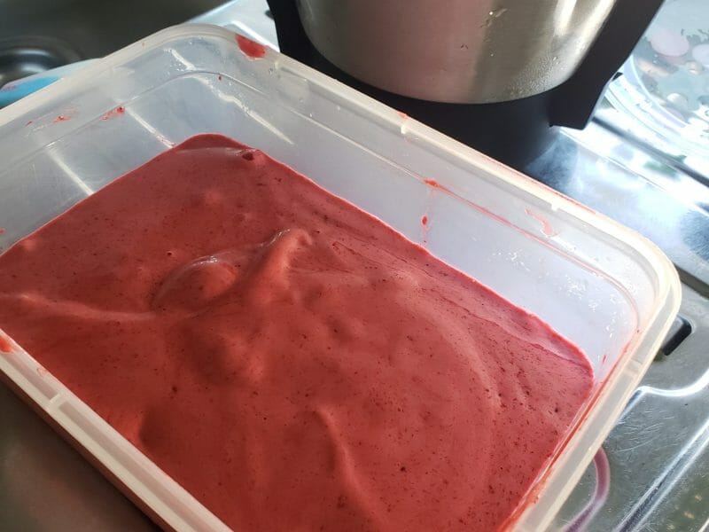 Cliquez pour zoomer ! Sorbet aux mûres Thermomix par chiara51