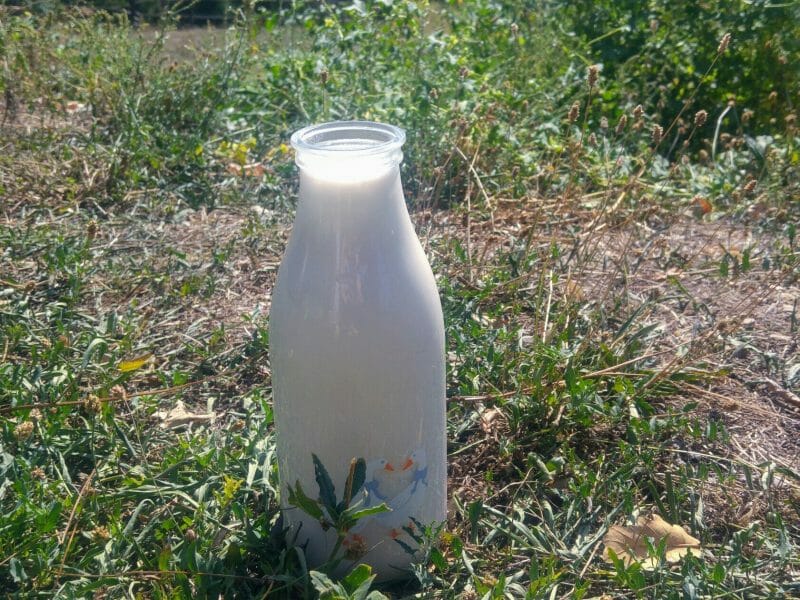 Cliquez pour zoomer ! Lait d’amandes Thermomix par champimignon