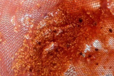 Cliquez pour zoomer ! Compote pomme framboise au Thermomix