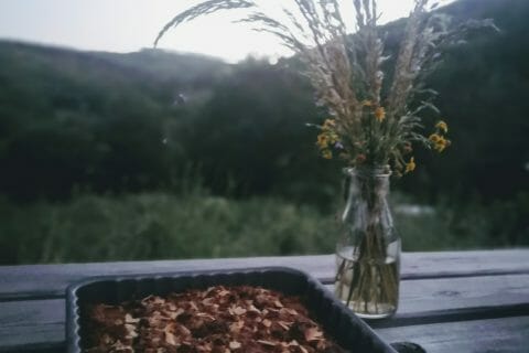 Photos des recettes
