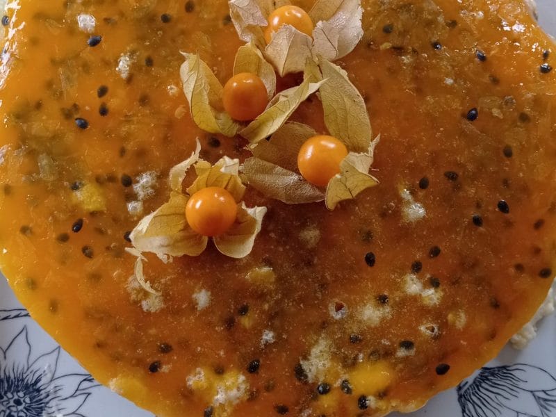 Cliquez pour zoomer ! Bavarois aux fruits de la passion Thermomix par bernadette_r