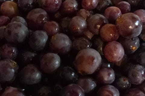 Cliquez pour zoomer ! Jus de raisins Thermomix par sabrimanga