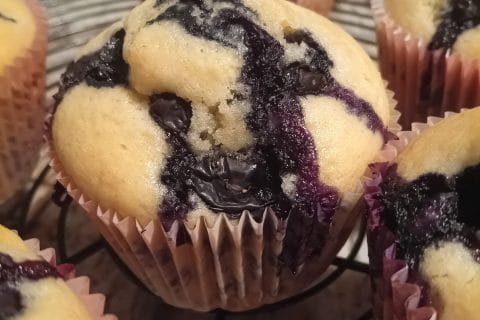 Photos des recettes