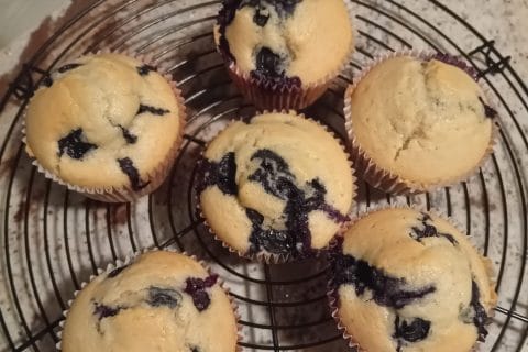 Photos des recettes