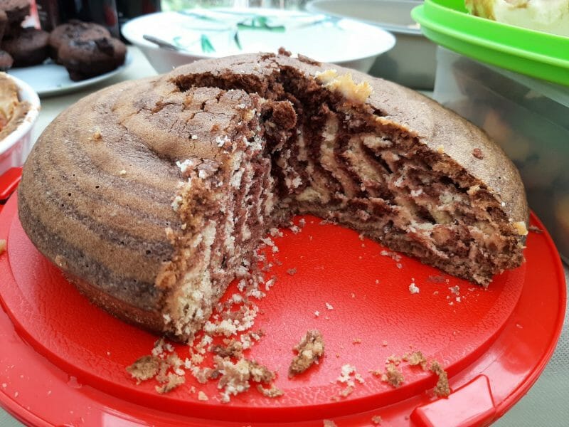 Cliquez pour zoomer ! Gâteau zébré Thermomix par Axelle_MCC