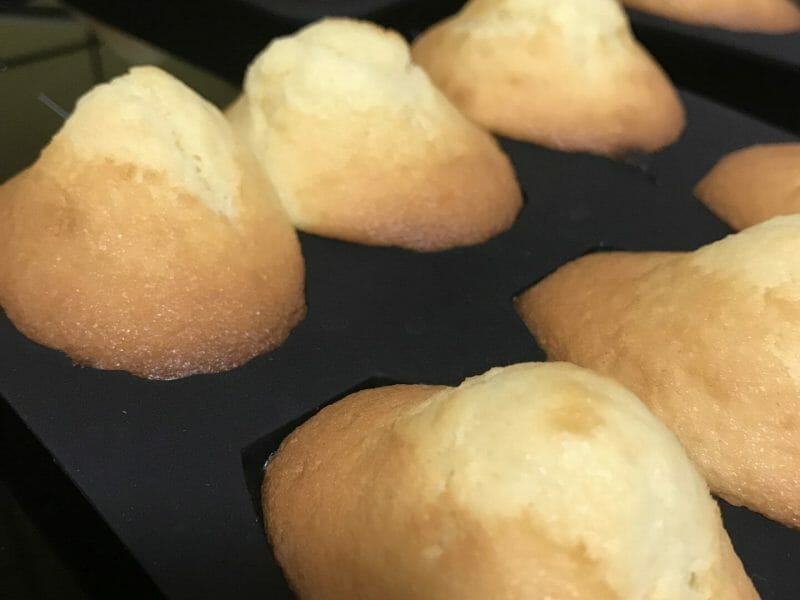 Cliquez pour zoomer ! Madeleines Thermomix par angelique_276