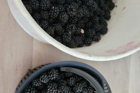 Cliquez pour zoomer ! Photo de fm56