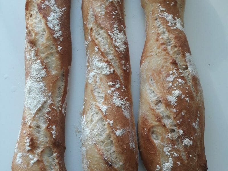 Cliquez pour zoomer ! Baguettes Thermomix par flor43