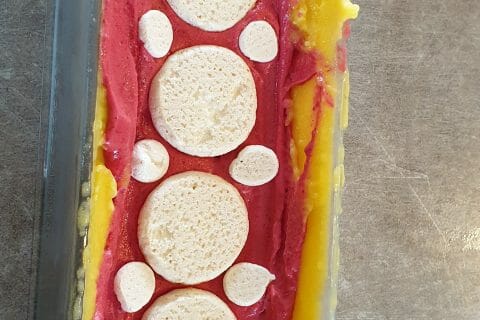 Cliquez pour zoomer ! Bûche glacée mangue et framboise Thermomix par Julie11